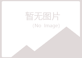 日照夏岚能源有限公司